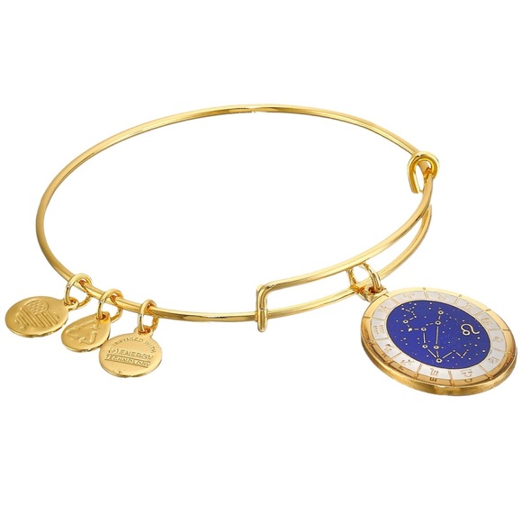 Alex and Ani Jewelry - Metallic Celestial Wheel Leo Constellation Bangle Alex and Ani